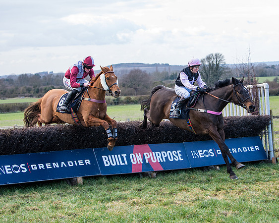 Race 5 - Ineos Grenadier Home Counties Grand National (79 of 142)