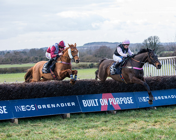 Race 5 - Ineos Grenadier Home Counties Grand National (78 of 142)
