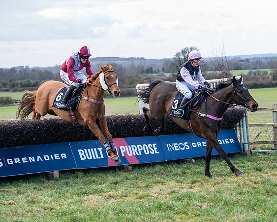 Race 5 - Ineos Grenadier Home Counties Grand National (80 of 142)