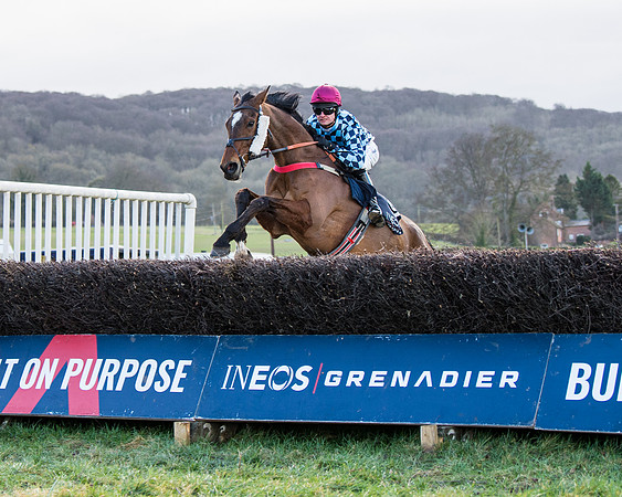 Race 5 - Ineos Grenadier Home Counties Grand National (81 of 142)