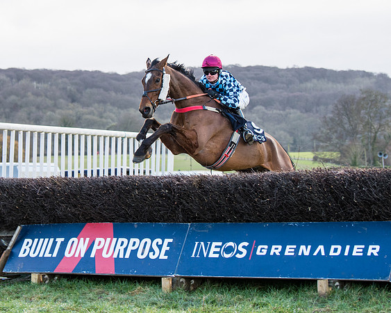 Race 5 - Ineos Grenadier Home Counties Grand National (82 of 142)