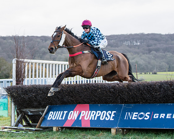 Race 5 - Ineos Grenadier Home Counties Grand National (84 of 142)