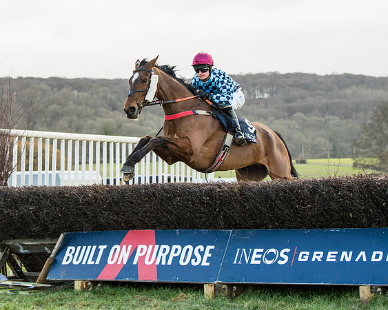 Race 5 - Ineos Grenadier Home Counties Grand National (83 of 142)