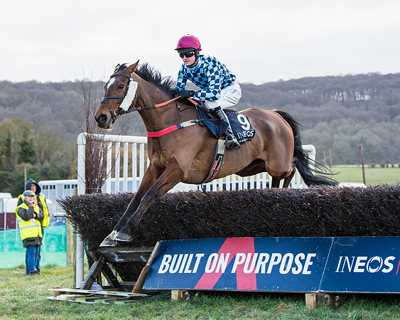 Race 5 - Ineos Grenadier Home Counties Grand National (85 of 142)