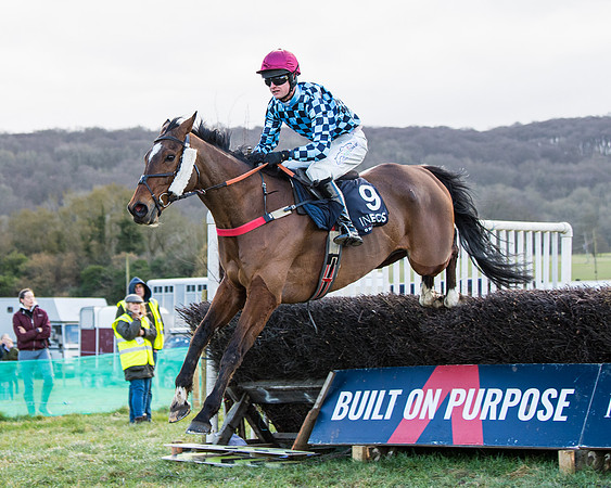 Race 5 - Ineos Grenadier Home Counties Grand National (86 of 142)