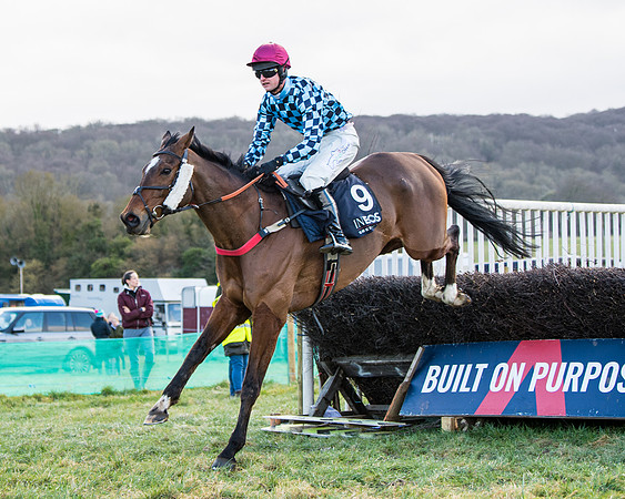 Race 5 - Ineos Grenadier Home Counties Grand National (87 of 142)