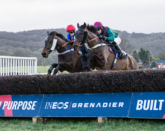 Race 5 - Ineos Grenadier Home Counties Grand National (88 of 142)
