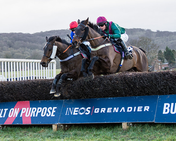 Race 5 - Ineos Grenadier Home Counties Grand National (89 of 142)