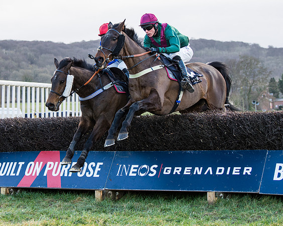 Race 5 - Ineos Grenadier Home Counties Grand National (90 of 142)