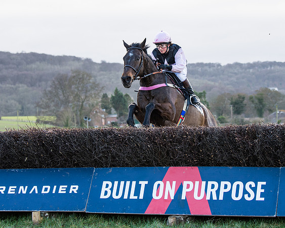 Race 5 - Ineos Grenadier Home Counties Grand National (94 of 142)