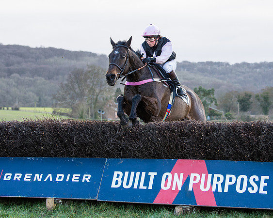 Race 5 - Ineos Grenadier Home Counties Grand National (95 of 142)