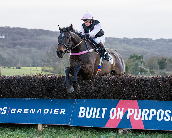 Race 5 - Ineos Grenadier Home Counties Grand National (96 of 142)
