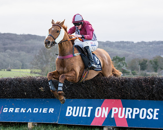Race 5 - Ineos Grenadier Home Counties Grand National (98 of 142)