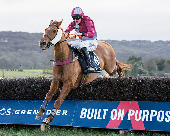Race 5 - Ineos Grenadier Home Counties Grand National (99 of 142)