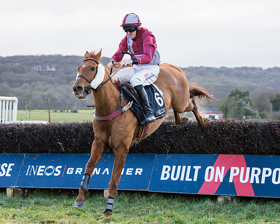 Race 5 - Ineos Grenadier Home Counties Grand National (100 of 142)