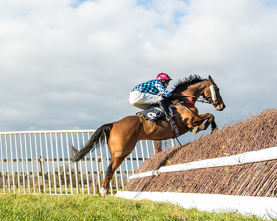 Race 5 - Ineos Grenadier Home Counties Grand National (101 of 142)