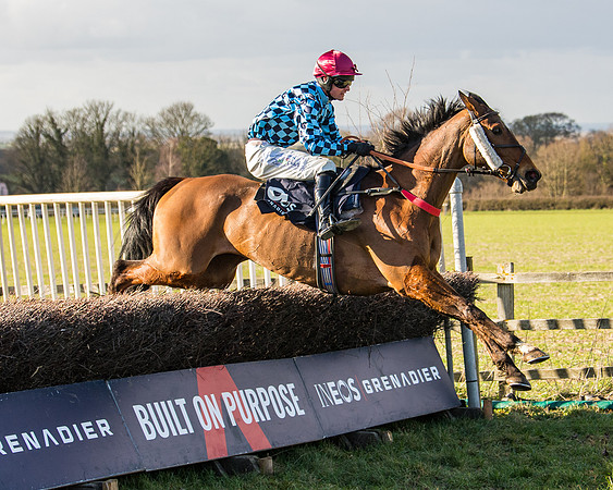 Race 5 - Ineos Grenadier Home Counties Grand National (105 of 142)