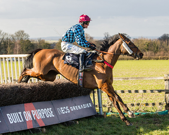 Race 5 - Ineos Grenadier Home Counties Grand National (106 of 142)