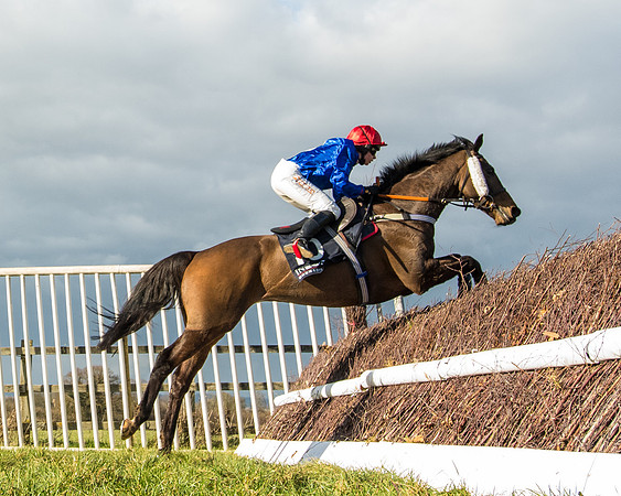 Race 5 - Ineos Grenadier Home Counties Grand National (107 of 142)