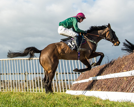 Race 5 - Ineos Grenadier Home Counties Grand National (108 of 142)