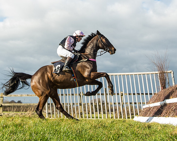 Race 5 - Ineos Grenadier Home Counties Grand National (109 of 142)