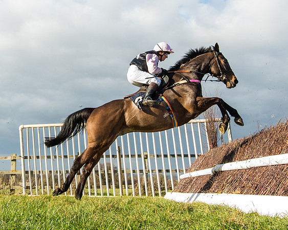 Race 5 - Ineos Grenadier Home Counties Grand National (111 of 142)