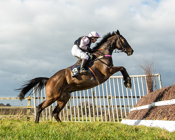 Race 5 - Ineos Grenadier Home Counties Grand National (110 of 142)