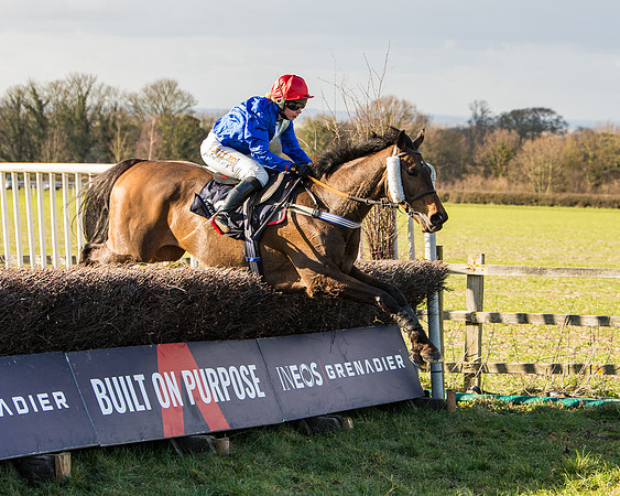 Race 5 - Ineos Grenadier Home Counties Grand National (113 of 142)