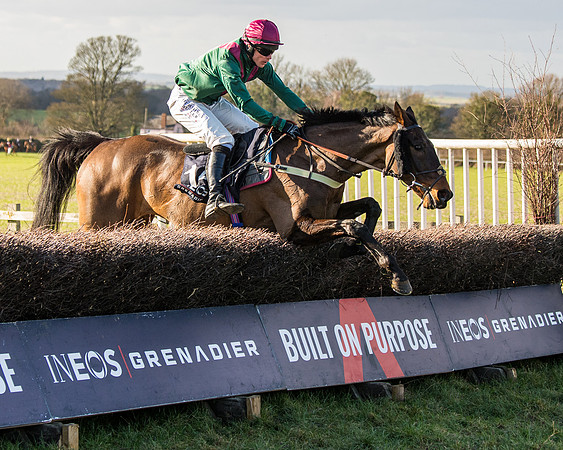 Race 5 - Ineos Grenadier Home Counties Grand National (114 of 142)