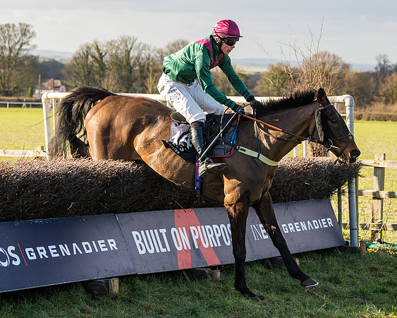 Race 5 - Ineos Grenadier Home Counties Grand National (116 of 142)