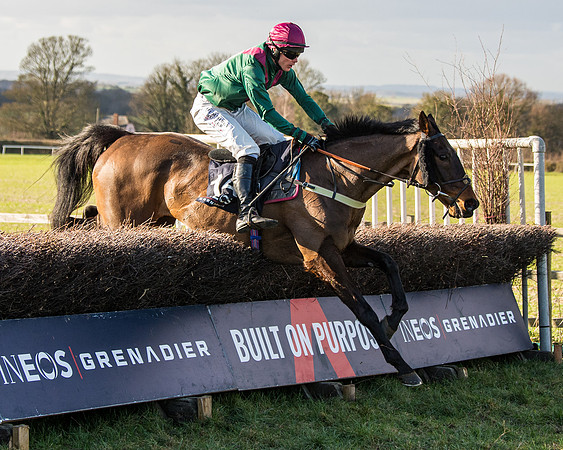 Race 5 - Ineos Grenadier Home Counties Grand National (115 of 142)