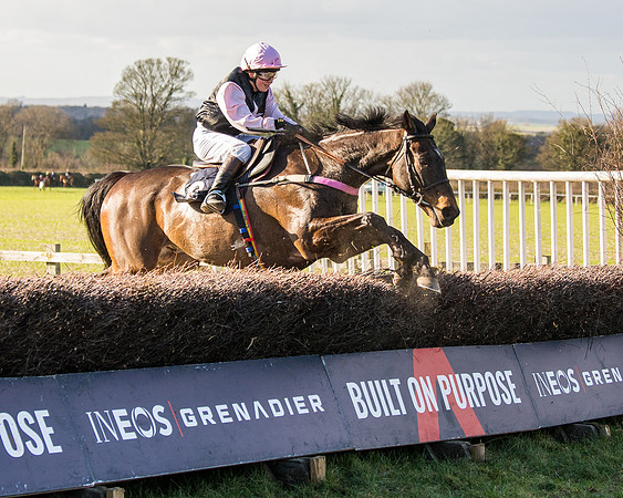 Race 5 - Ineos Grenadier Home Counties Grand National (117 of 142)