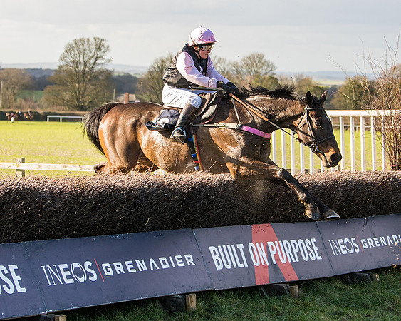 Race 5 - Ineos Grenadier Home Counties Grand National (118 of 142)