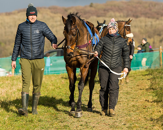 Race 6 - The Restricted Race  (13 of 102)