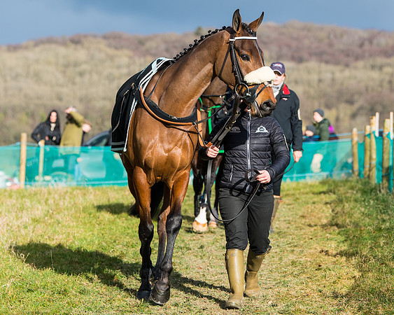 Race 6 - The Restricted Race  (16 of 102)
