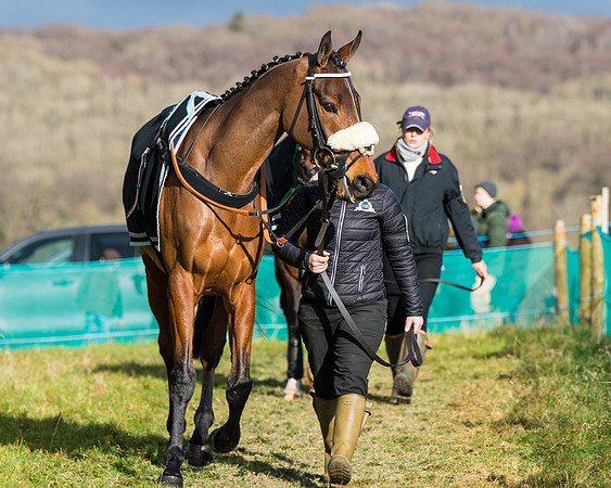 Race 6 - The Restricted Race  (15 of 102)