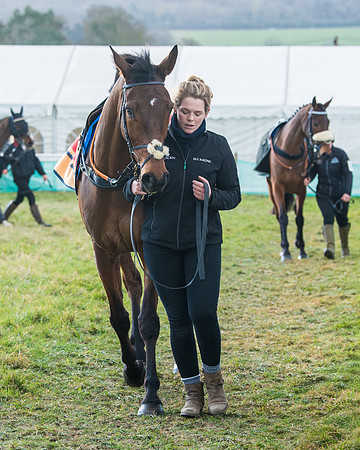 Race 6 - The Restricted Race  (27 of 102)
