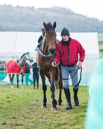 Race 6 - The Restricted Race  (33 of 102)