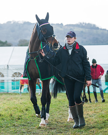 Race 6 - The Restricted Race  (32 of 102)