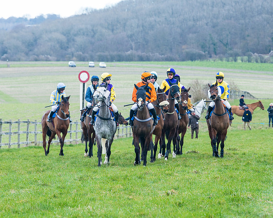 Race 6 - The Restricted Race  (36 of 102)