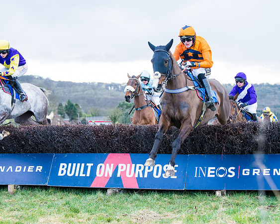 Race 6 - The Restricted Race  (42 of 102)