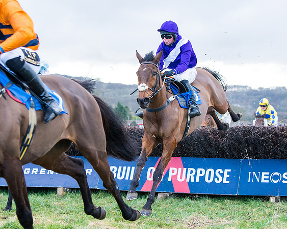 Race 6 - The Restricted Race  (46 of 102)