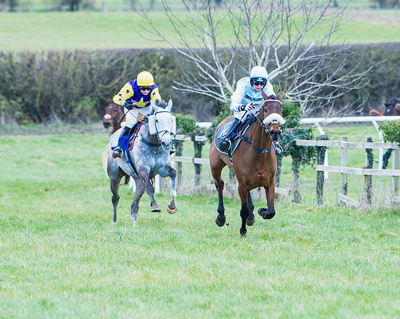 Race 6 - The Restricted Race  (55 of 102)