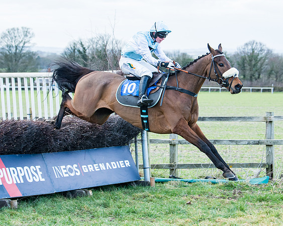 Race 6 - The Restricted Race  (63 of 102)
