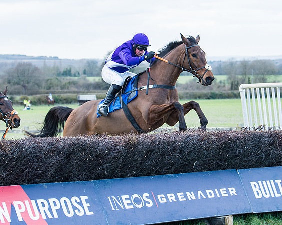 Race 6 - The Restricted Race  (69 of 102)