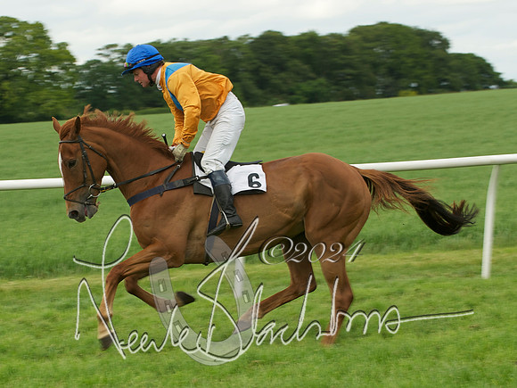 Open Maiden - 9