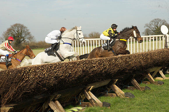 Race 2 Open Maiden Div 1 -  47