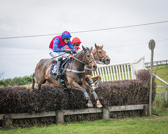 Race 2 - The Restricted race (52 of 84)