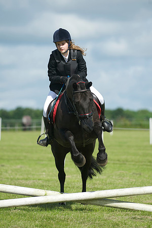 SOHS PC Summer Show at BCA 17th June 2012
