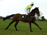 Ladies 6